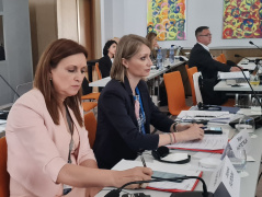 23 May 2023 The members of the National Assembly delegation to the Parliamentary Assembly of the Council of Europe at the meeting of the PACE Committee on Legal Affairs and Human Rights